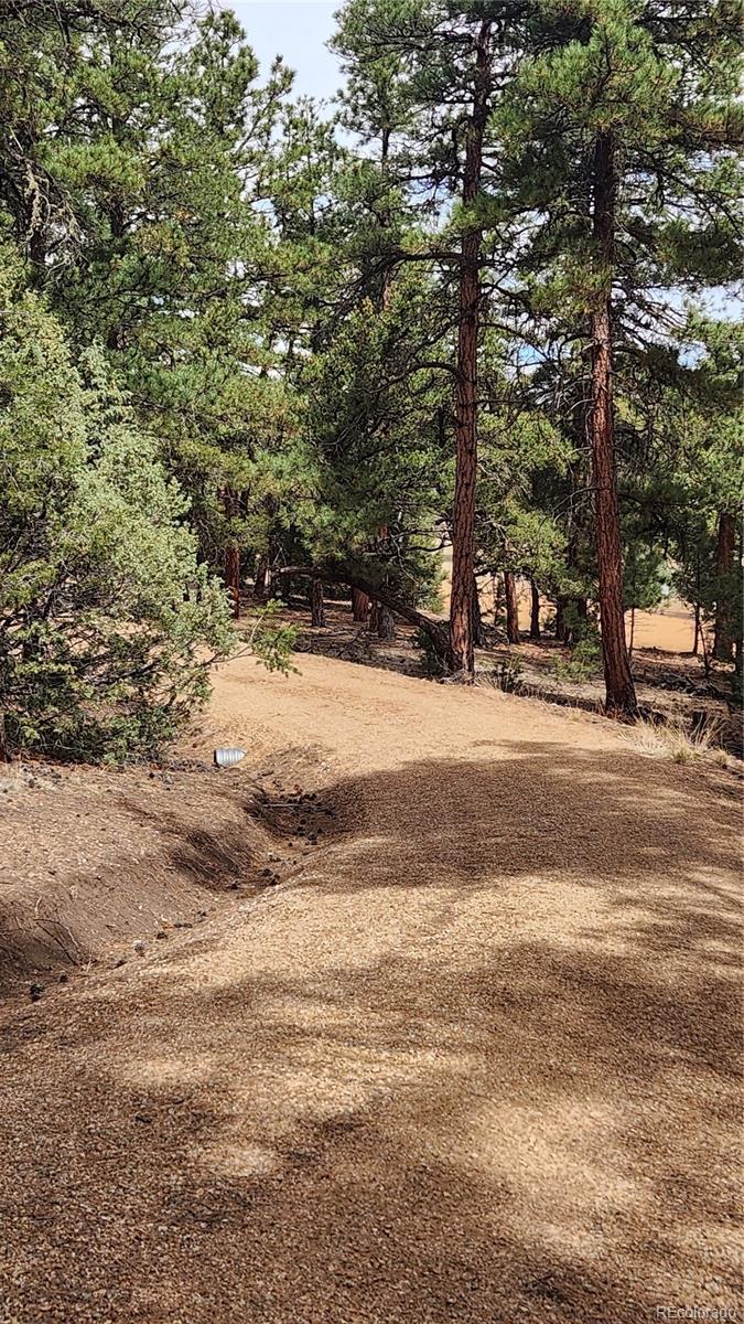2417 Indian Wells Road Cotopaxi CO 81223