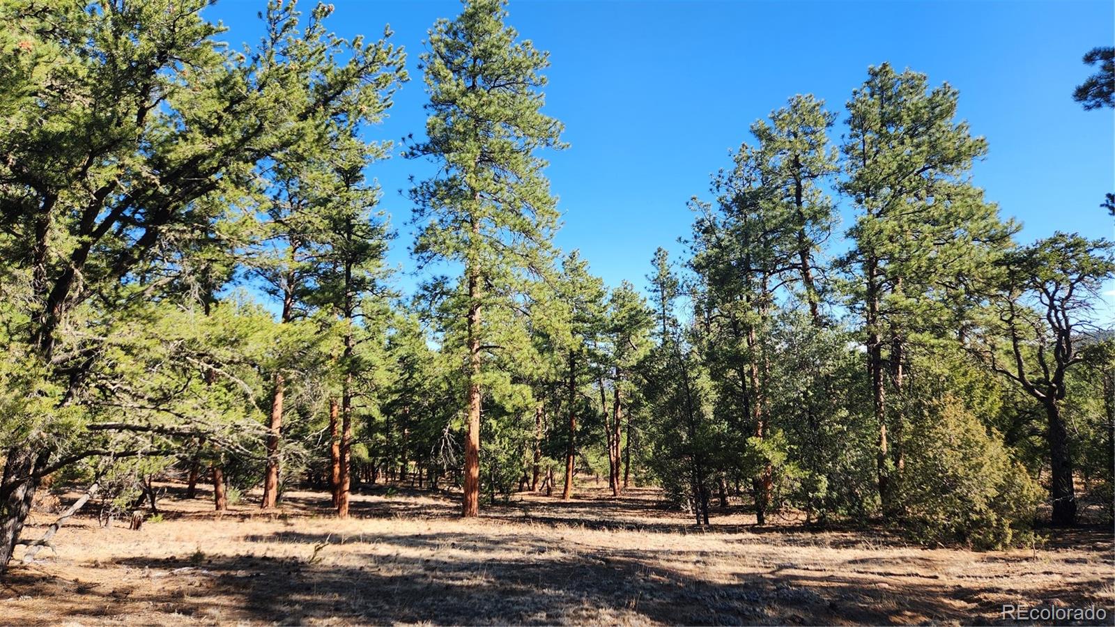 2417 Indian Wells Road Cotopaxi CO 81223