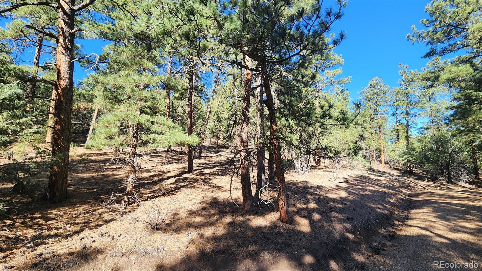 2417 Indian Wells Road Cotopaxi CO 81223