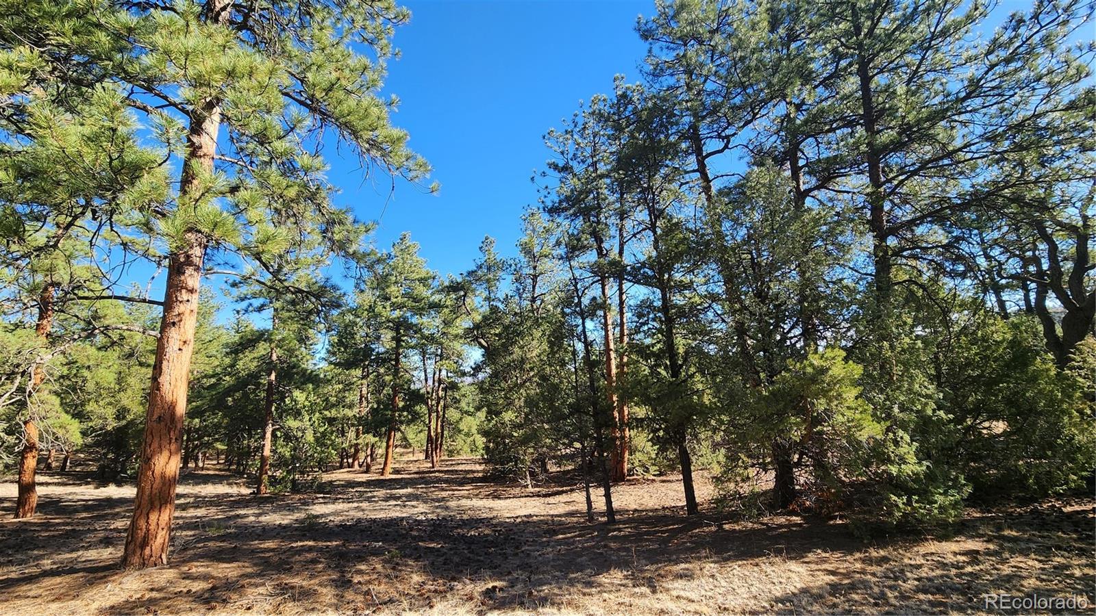 2417 Indian Wells Road Cotopaxi CO 81223