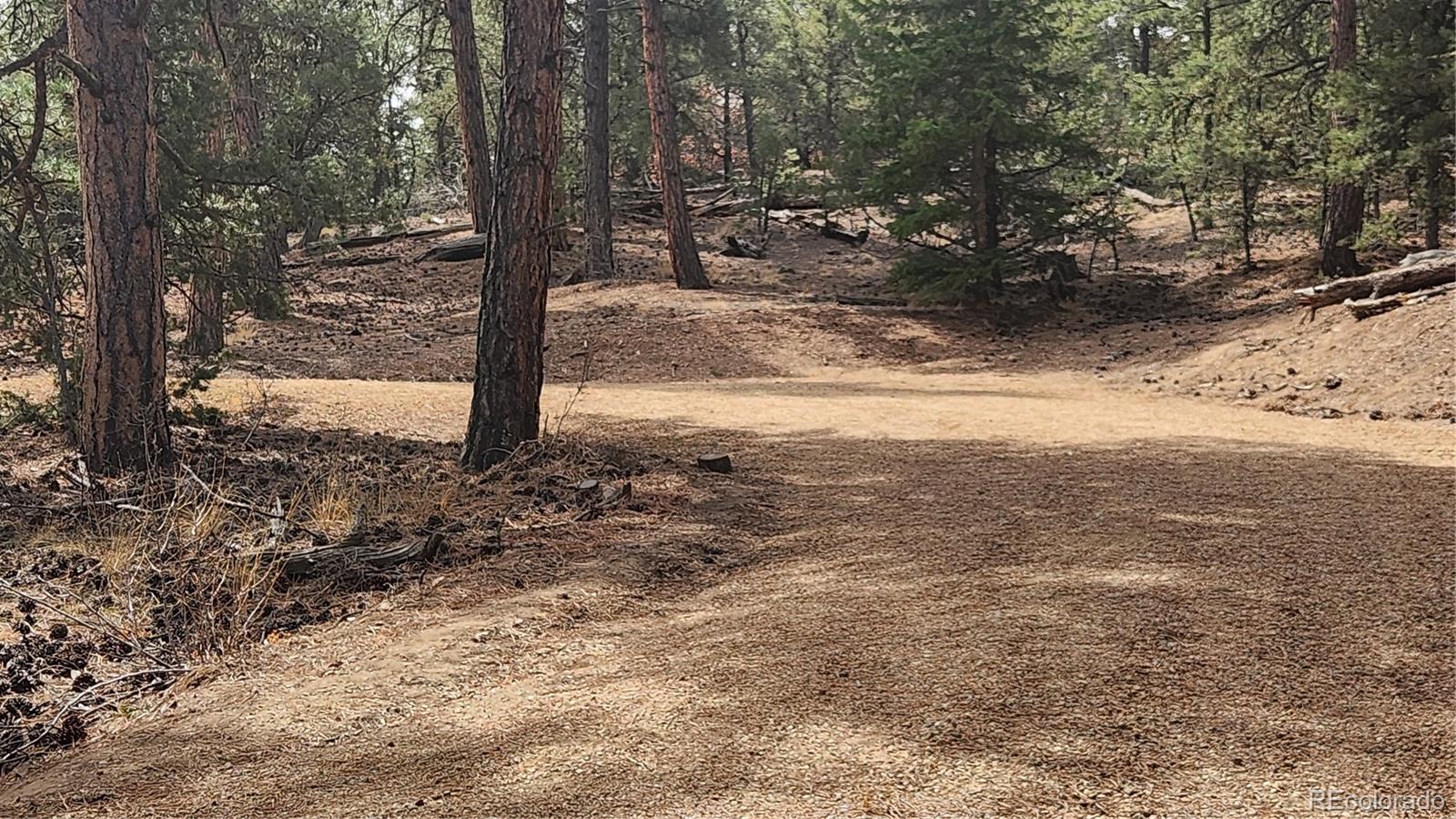 2417 Indian Wells Road Cotopaxi CO 81223