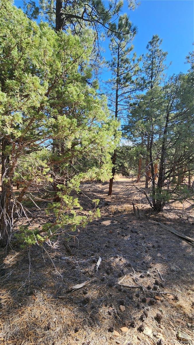 2417 Indian Wells Road Cotopaxi CO 81223
