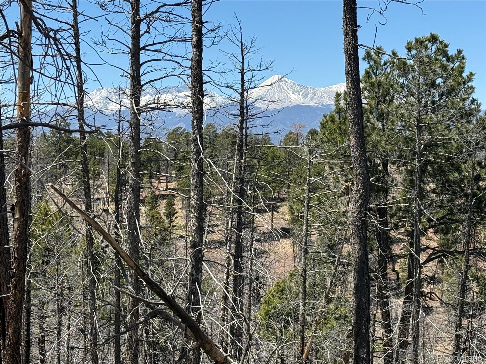 Lot 1154 Bluhdorn Place Fort Garland CO 81133