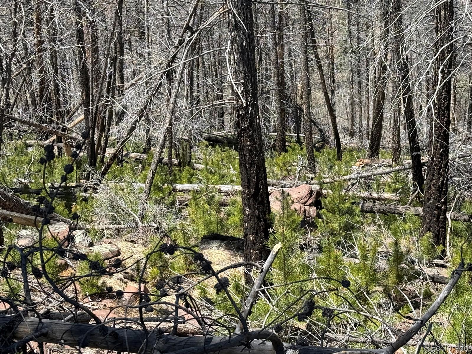Lot 1154 Bluhdorn Place Fort Garland CO 81133