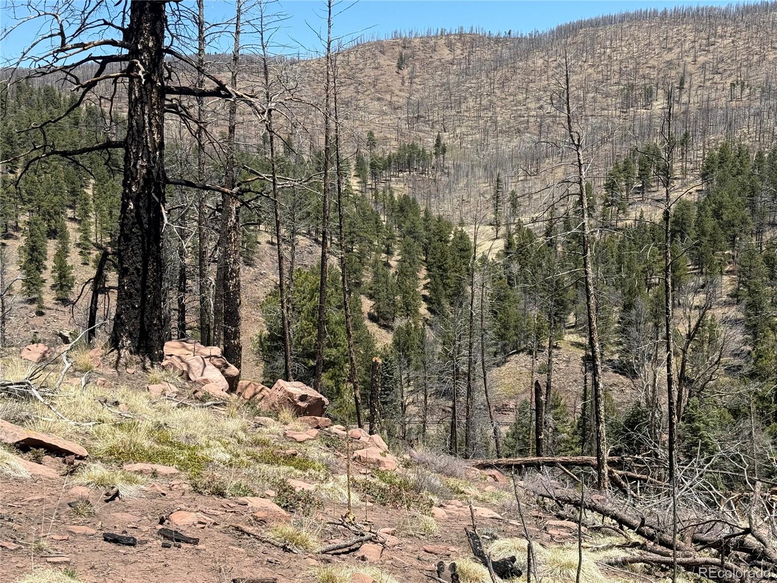 Lot 1154 Bluhdorn Place Fort Garland CO 81133