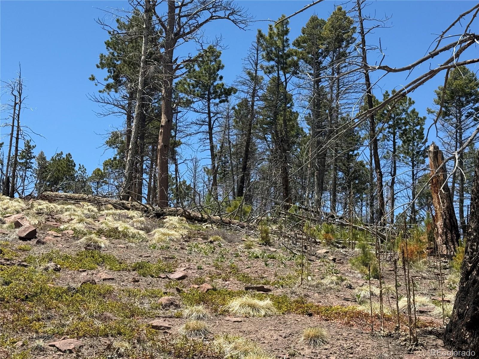 Lot 1154 Bluhdorn Place Fort Garland CO 81133