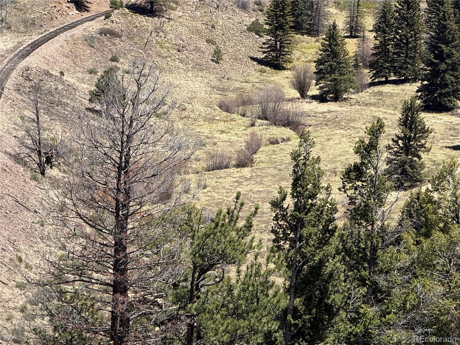 Lot 1154 Bluhdorn Place Fort Garland CO 81133