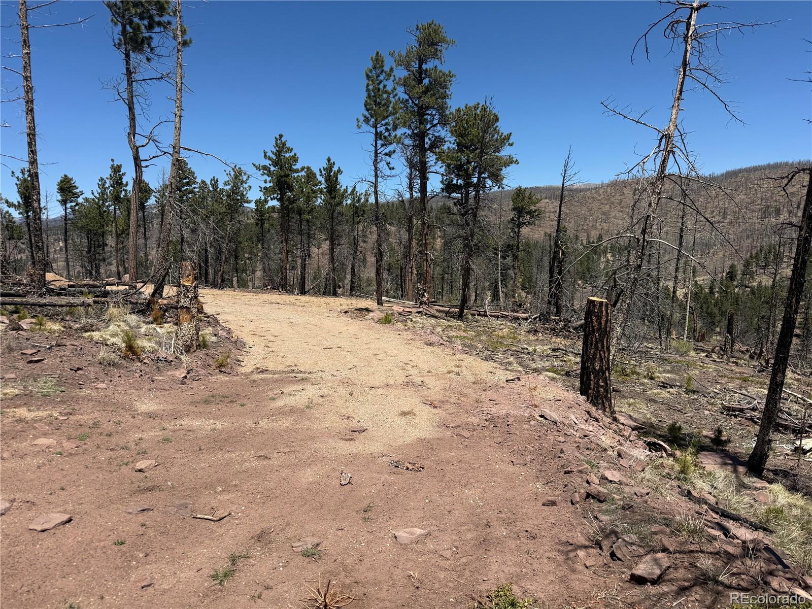 Lot 1154 Bluhdorn Place Fort Garland CO 81133