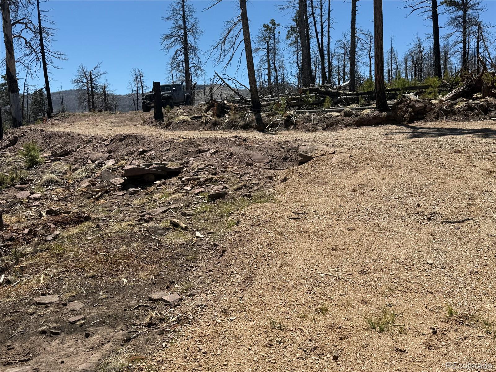 Lot 1154 Bluhdorn Place Fort Garland CO 81133