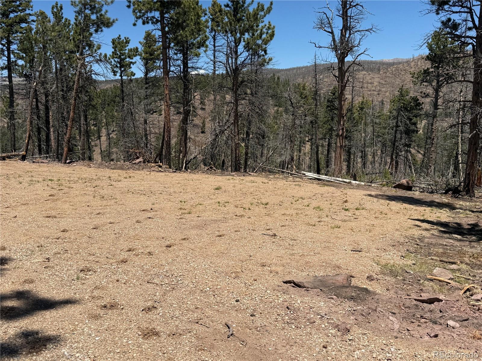 Lot 1154 Bluhdorn Place Fort Garland CO 81133