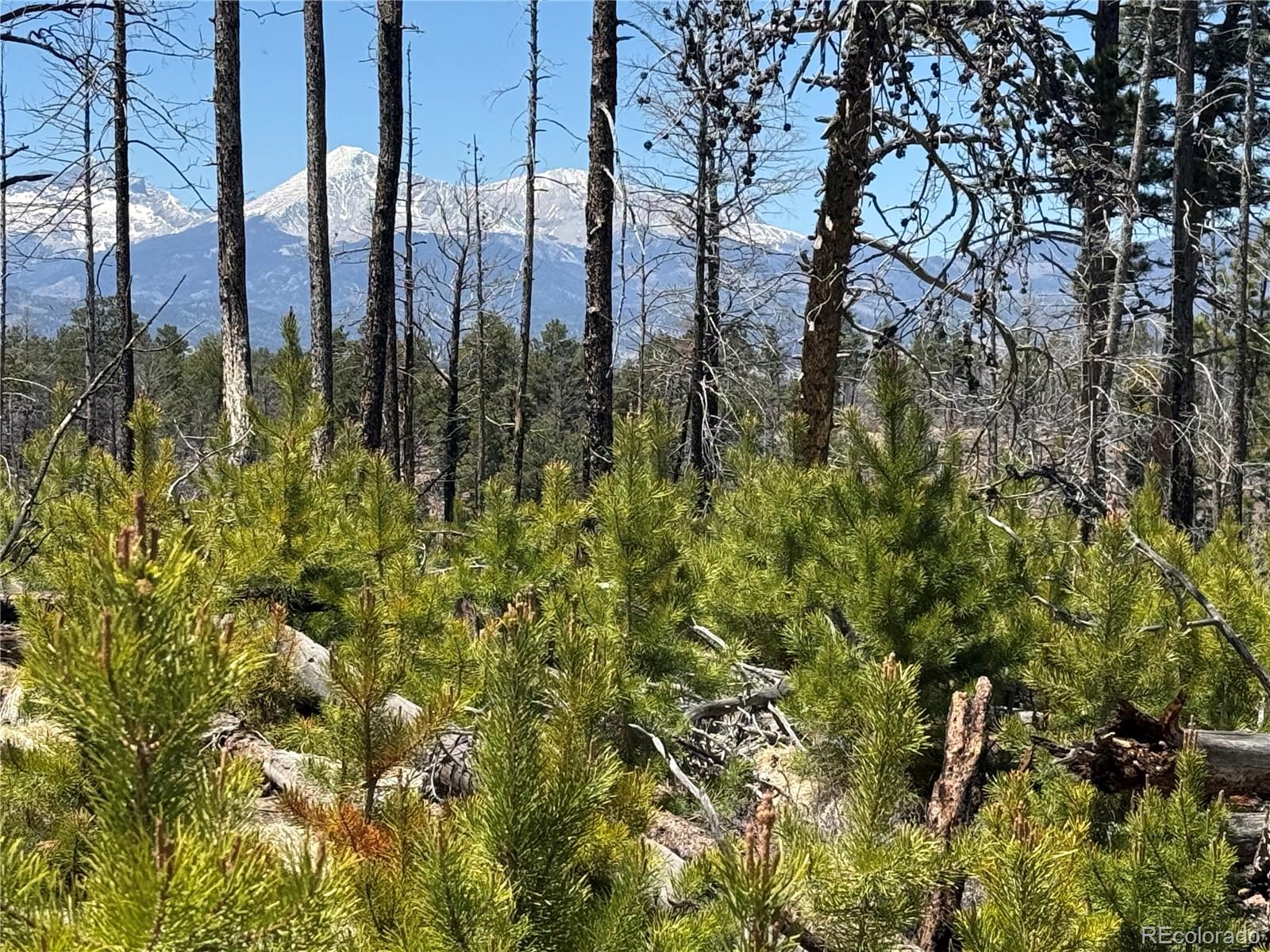 Lot 1154 Bluhdorn Place Fort Garland CO 81133