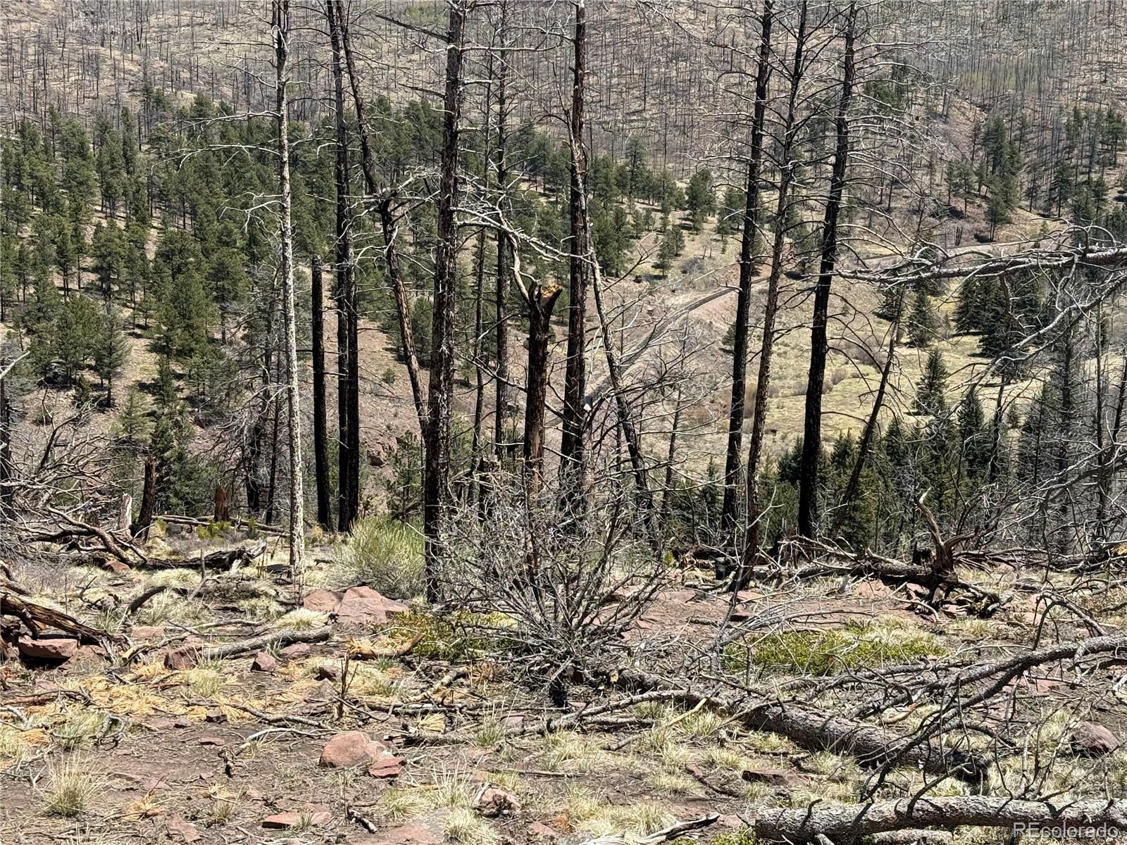 Lot 1154 Bluhdorn Place Fort Garland CO 81133