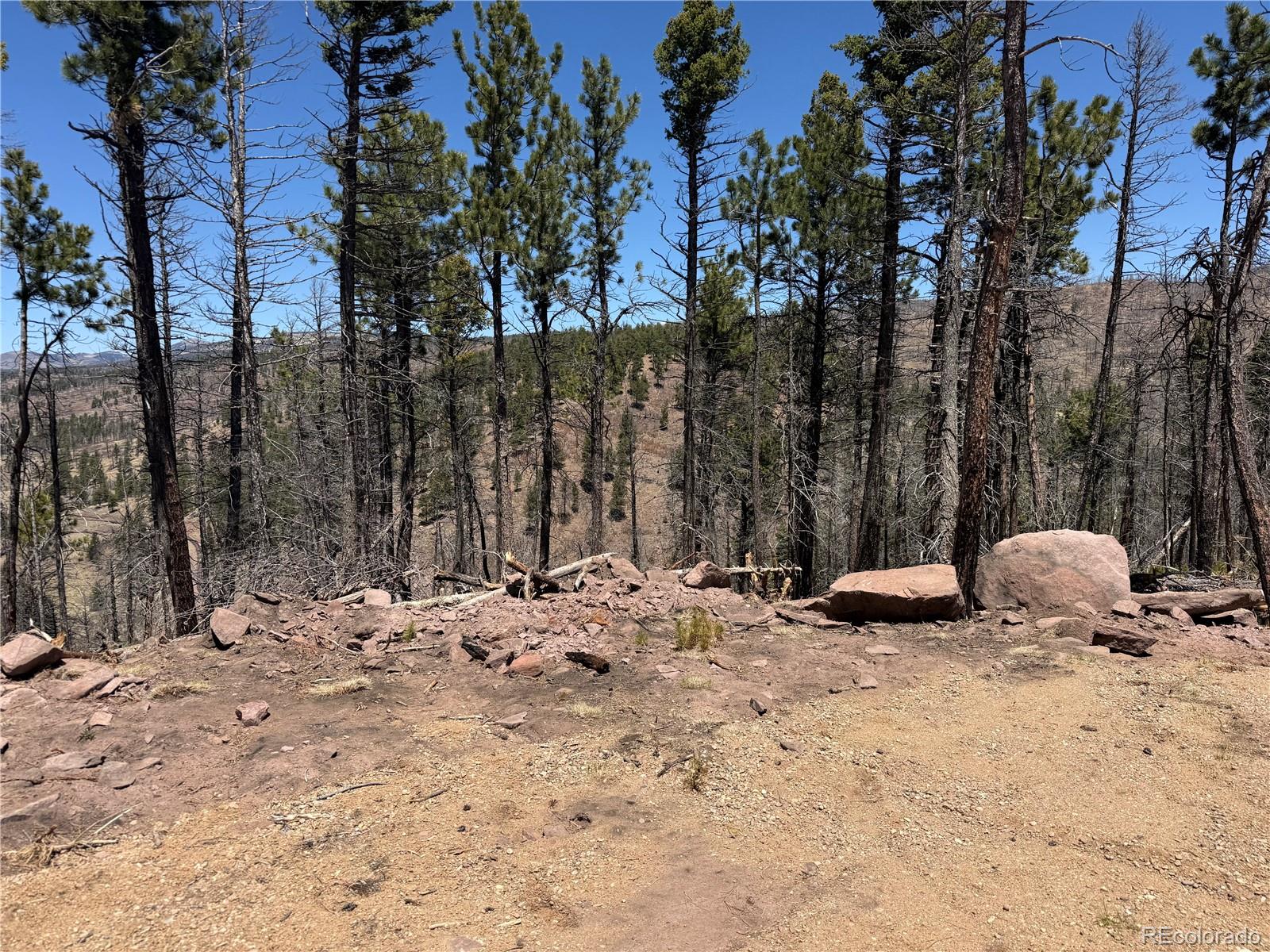 Lot 1154 Bluhdorn Place Fort Garland CO 81133