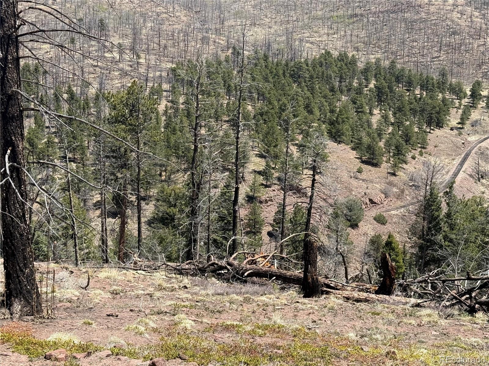 Lot 1154 Bluhdorn Place Fort Garland CO 81133