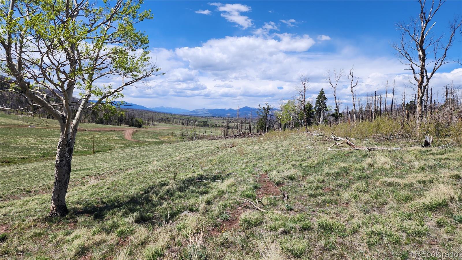 2334 Wohlstetter Loop Fort Garland CO 81133
