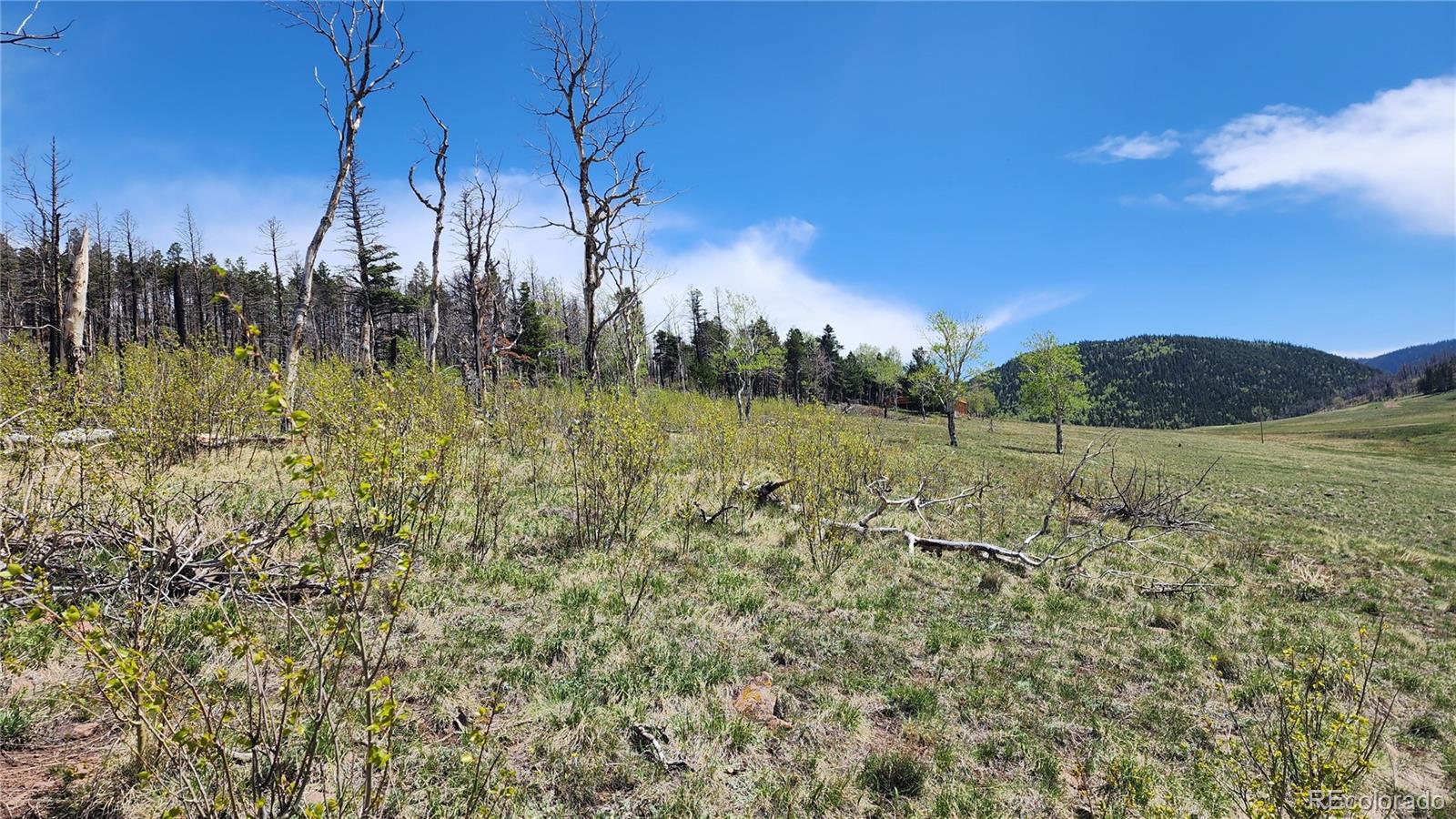 2334 Wohlstetter Loop Fort Garland CO 81133