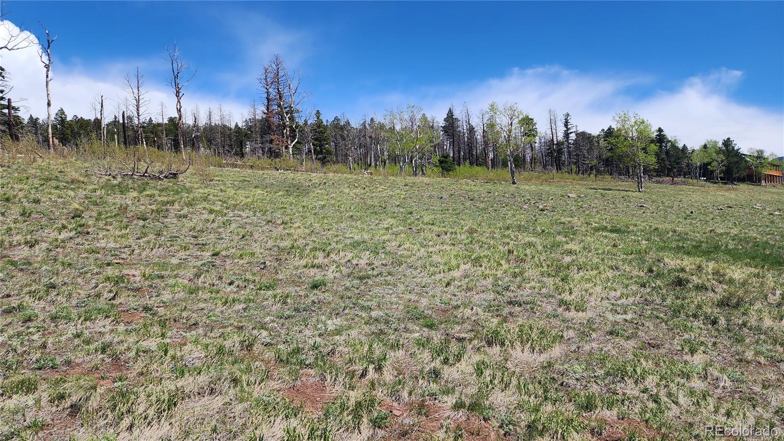 2334 Wohlstetter Loop Fort Garland CO 81133