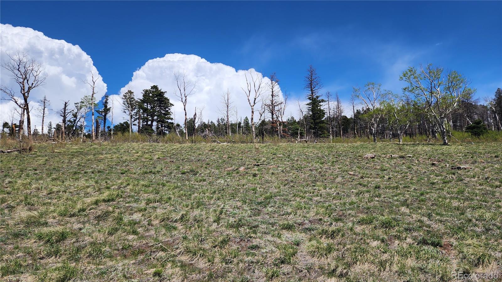 2334 Wohlstetter Loop Fort Garland CO 81133
