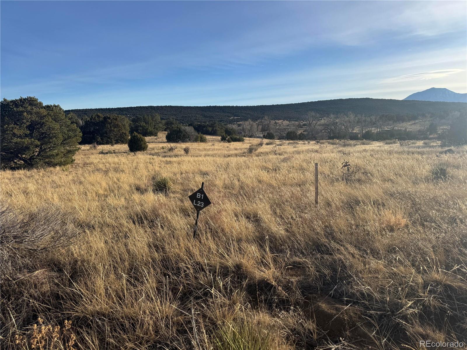 L23-26 B1 Black Diamond Drive Walsenburg CO 81089