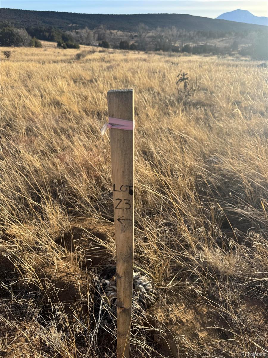 L23-26 B1 Black Diamond Drive Walsenburg CO 81089