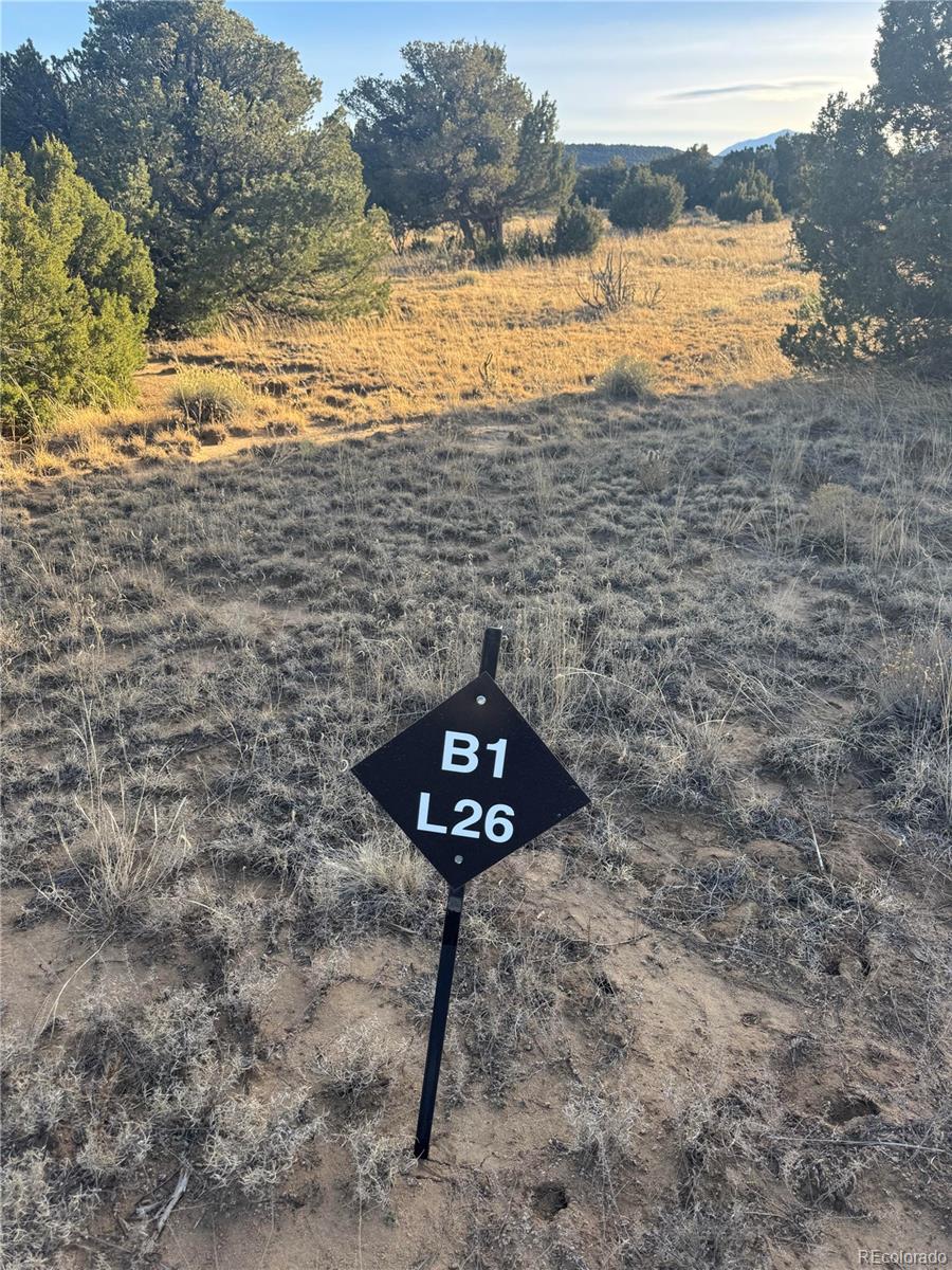 L23-26 B1 Black Diamond Drive Walsenburg CO 81089