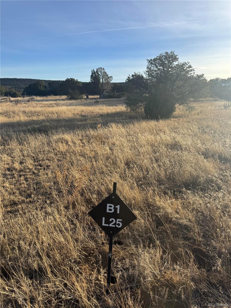L23-26 B1 Black Diamond Drive Walsenburg CO 81089