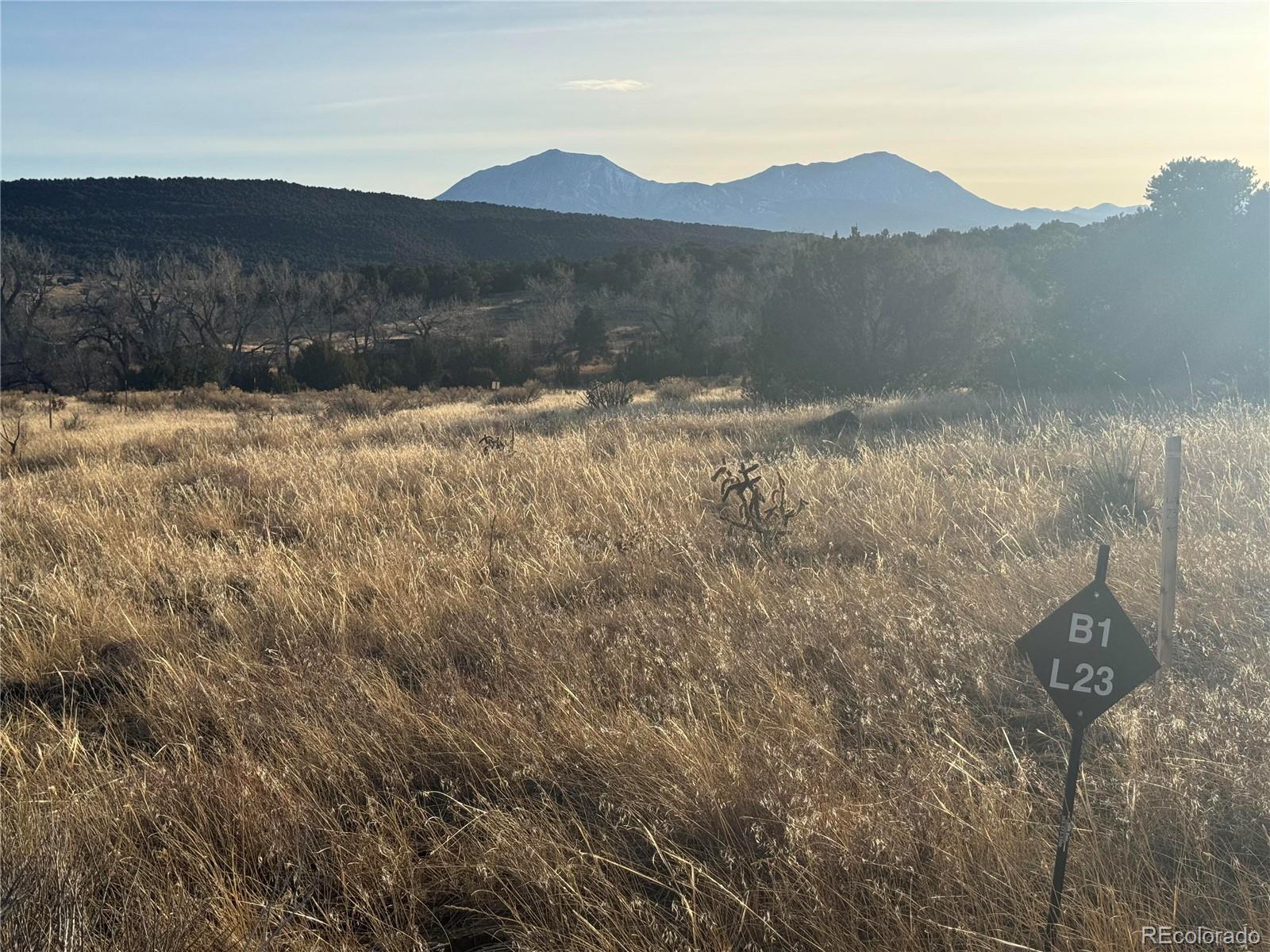 L23-26 B1 Black Diamond Drive Walsenburg CO 81089