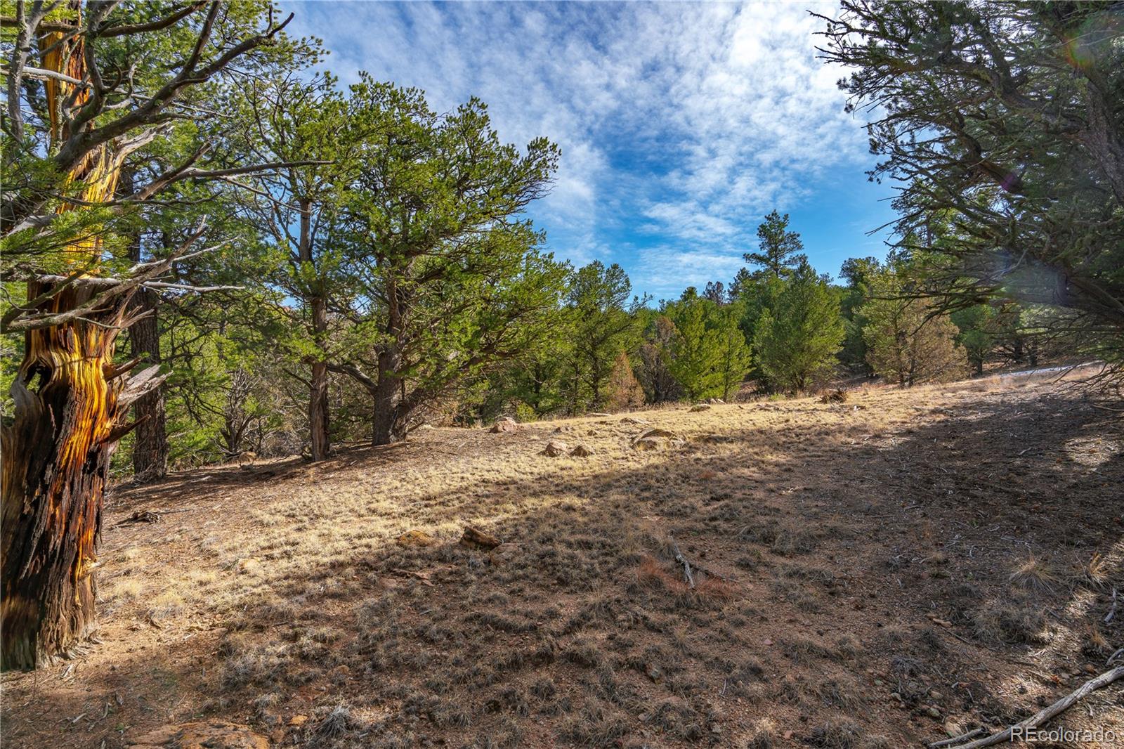 Lot 10 Prairie Dog Road Cotopaxi CO 81223