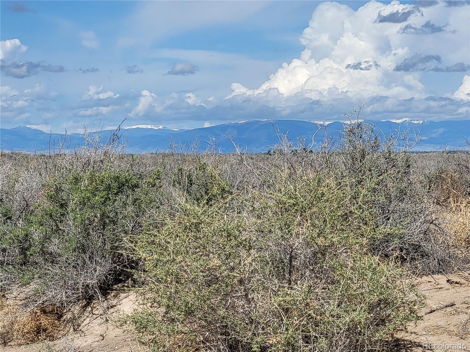 0000 Forest Drive Alamosa CO 81101