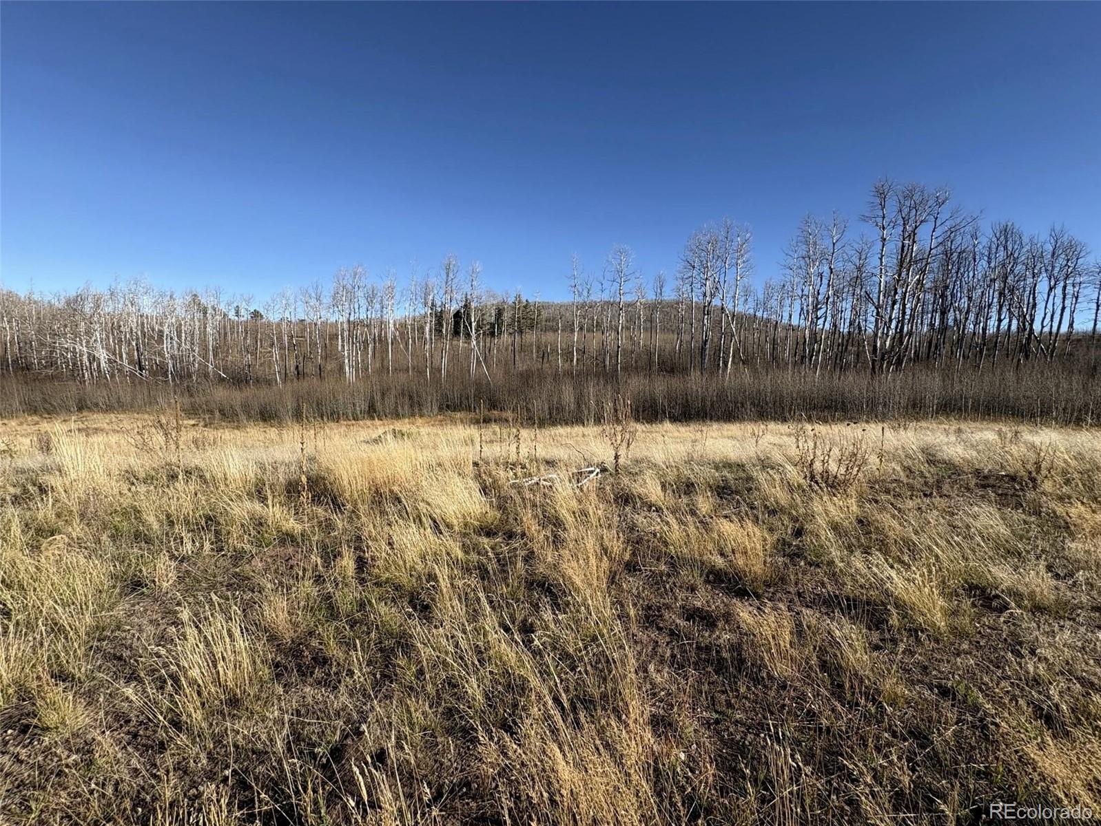 1654 Cary Lane Fort Garland CO 81133