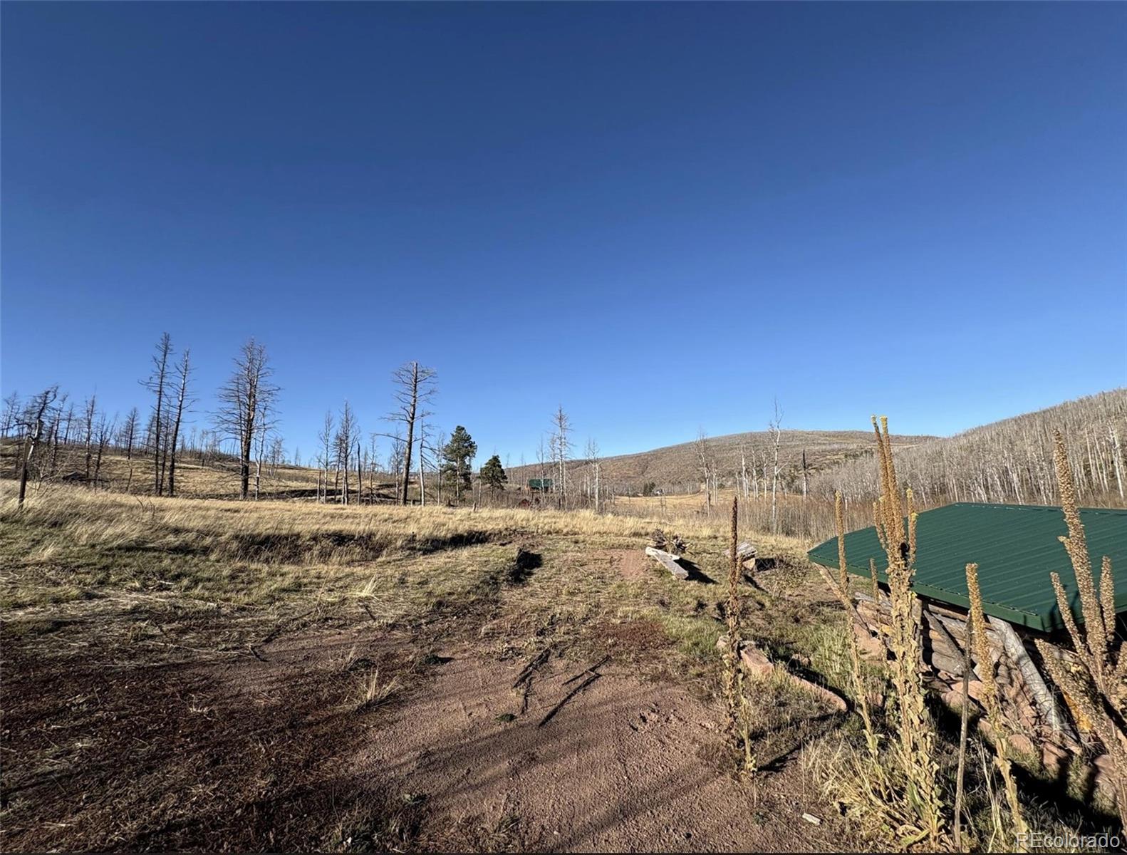1654 Cary Lane Fort Garland CO 81133