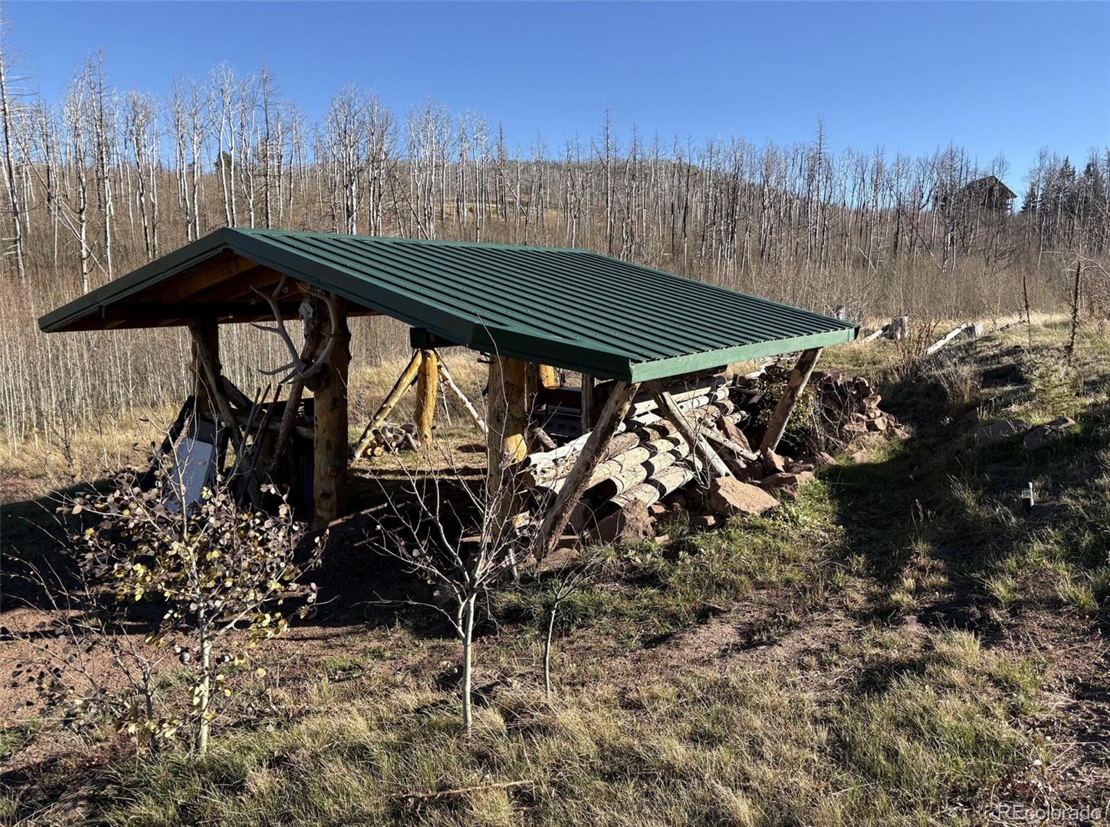 1654 Cary Lane Fort Garland CO 81133