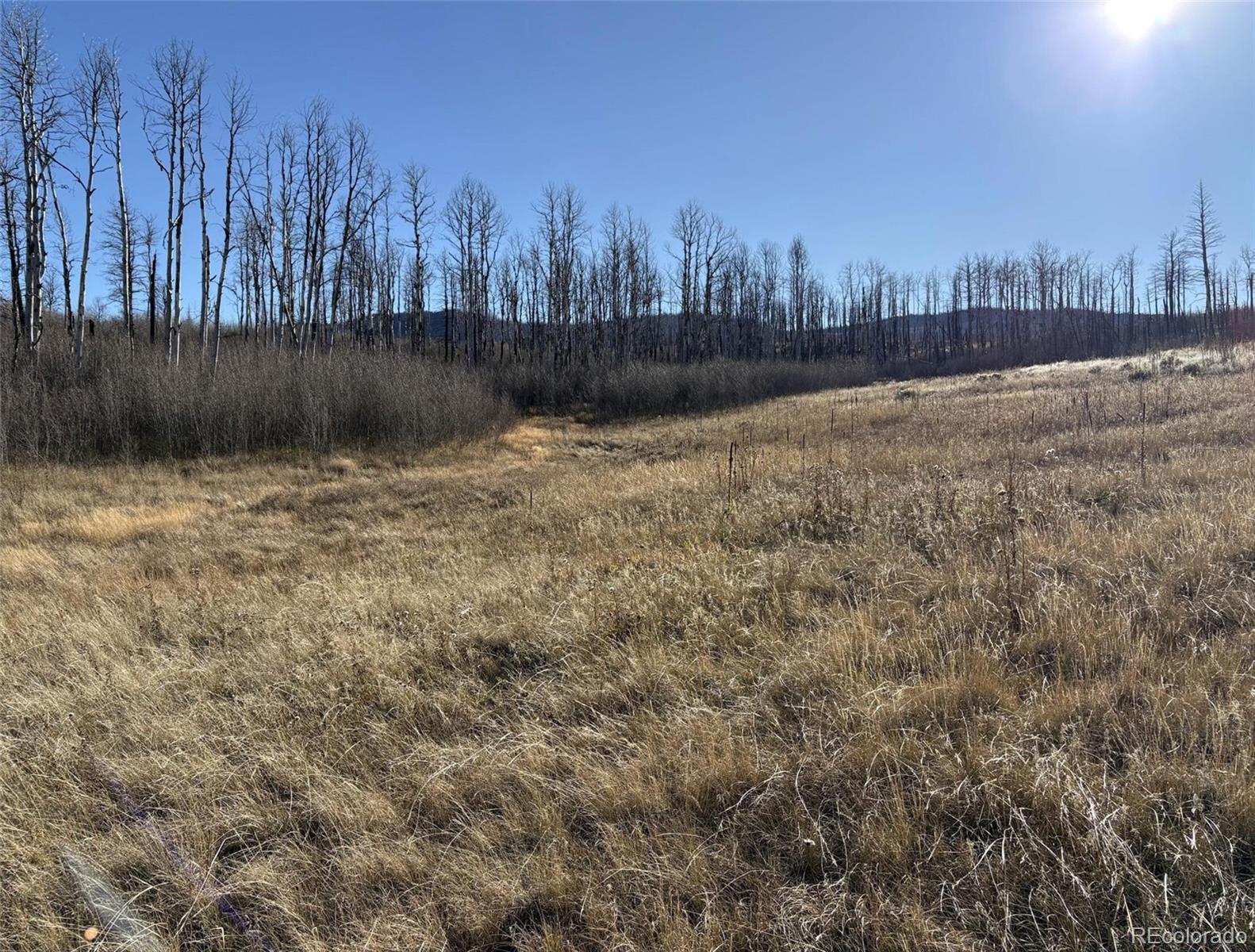 1654 Cary Lane Fort Garland CO 81133