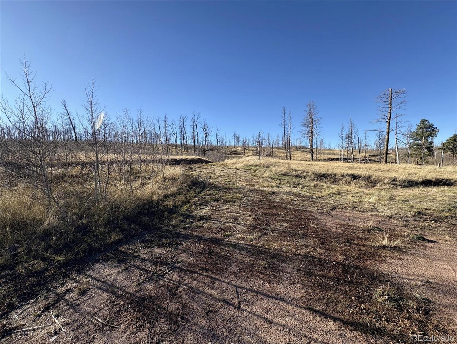1654 Cary Lane Fort Garland CO 81133