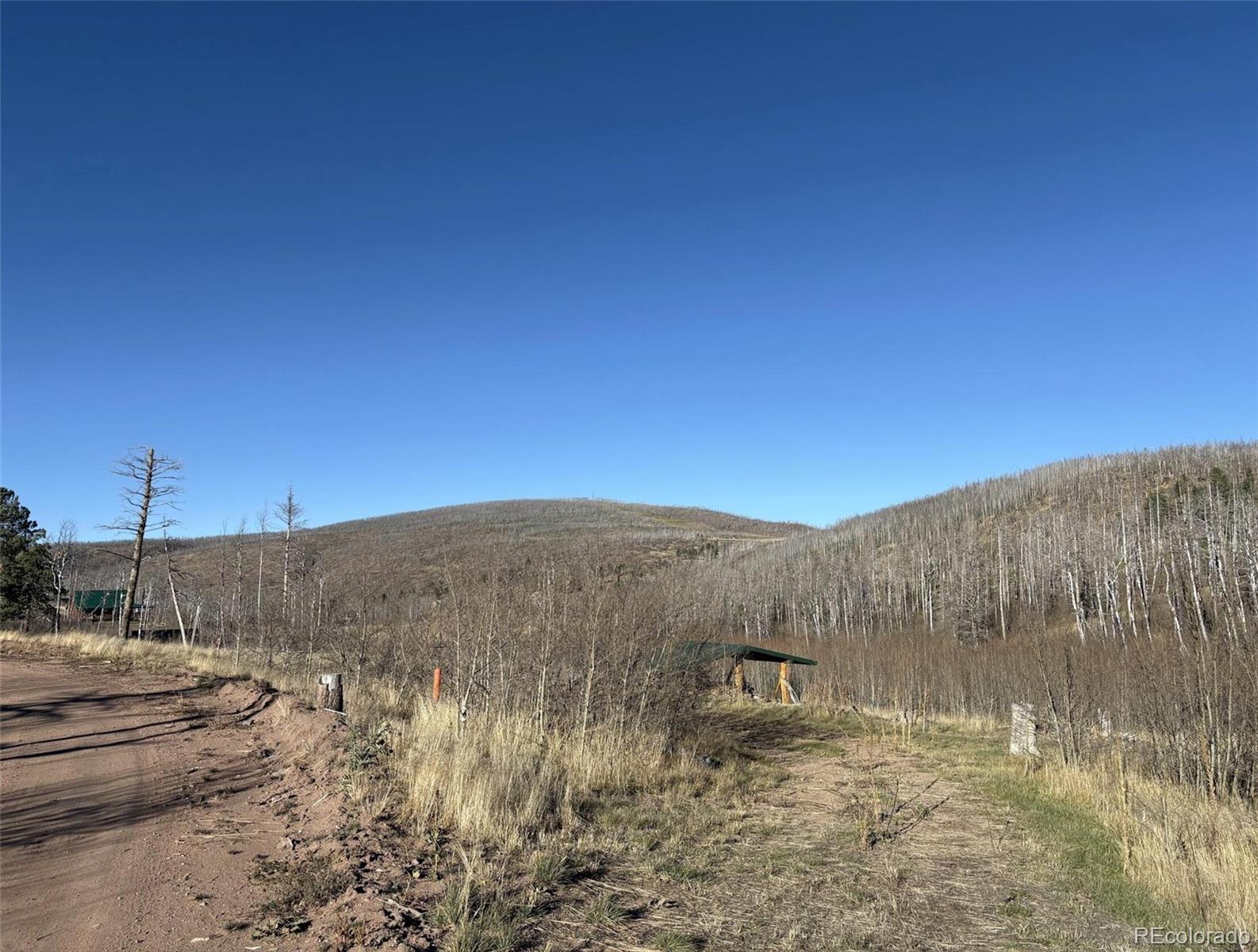 1654 Cary Lane Fort Garland CO 81133