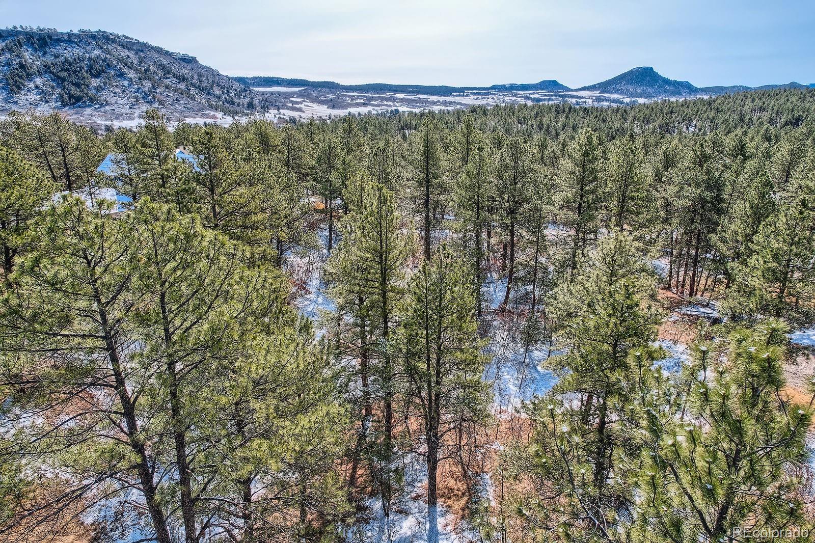 665 Copper Fox Place Larkspur CO 80118