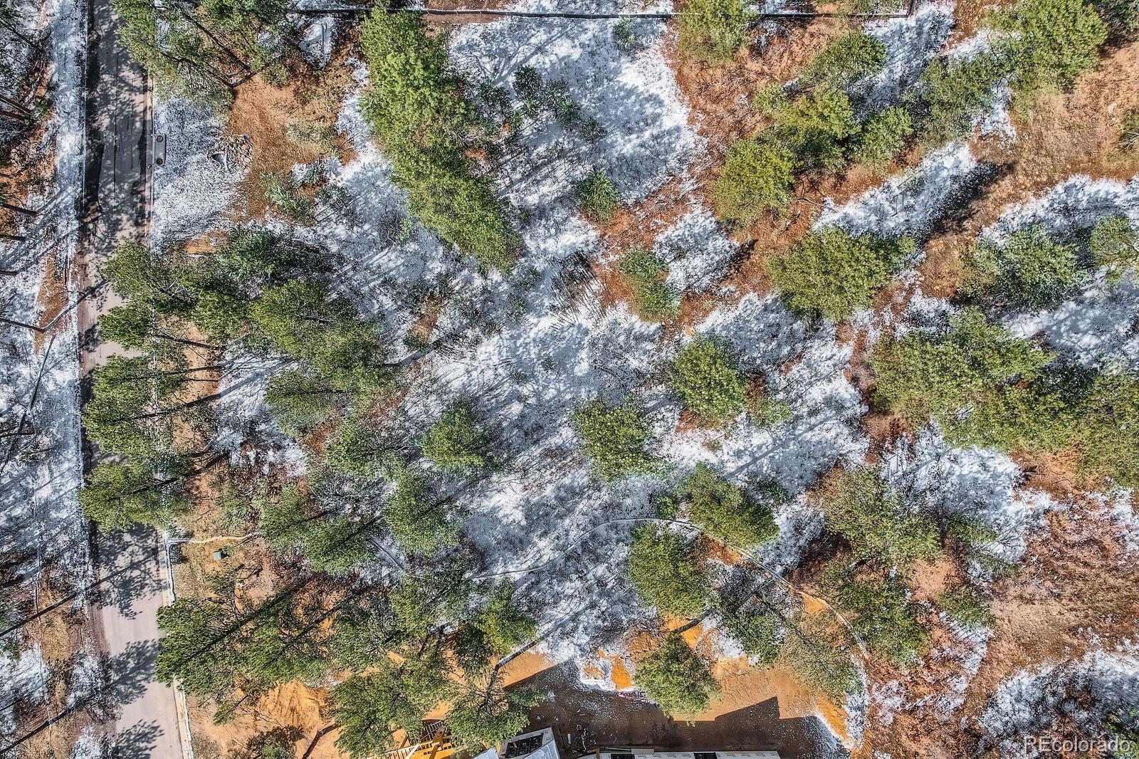 665 Copper Fox Place Larkspur CO 80118