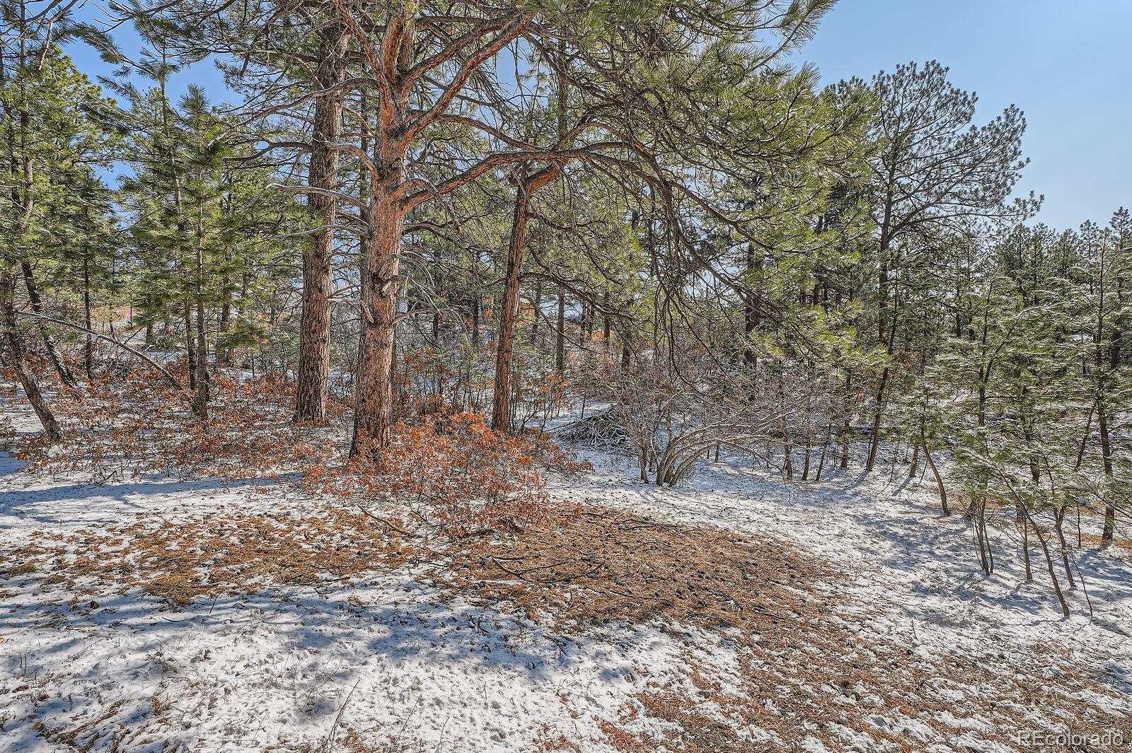 665 Copper Fox Place Larkspur CO 80118