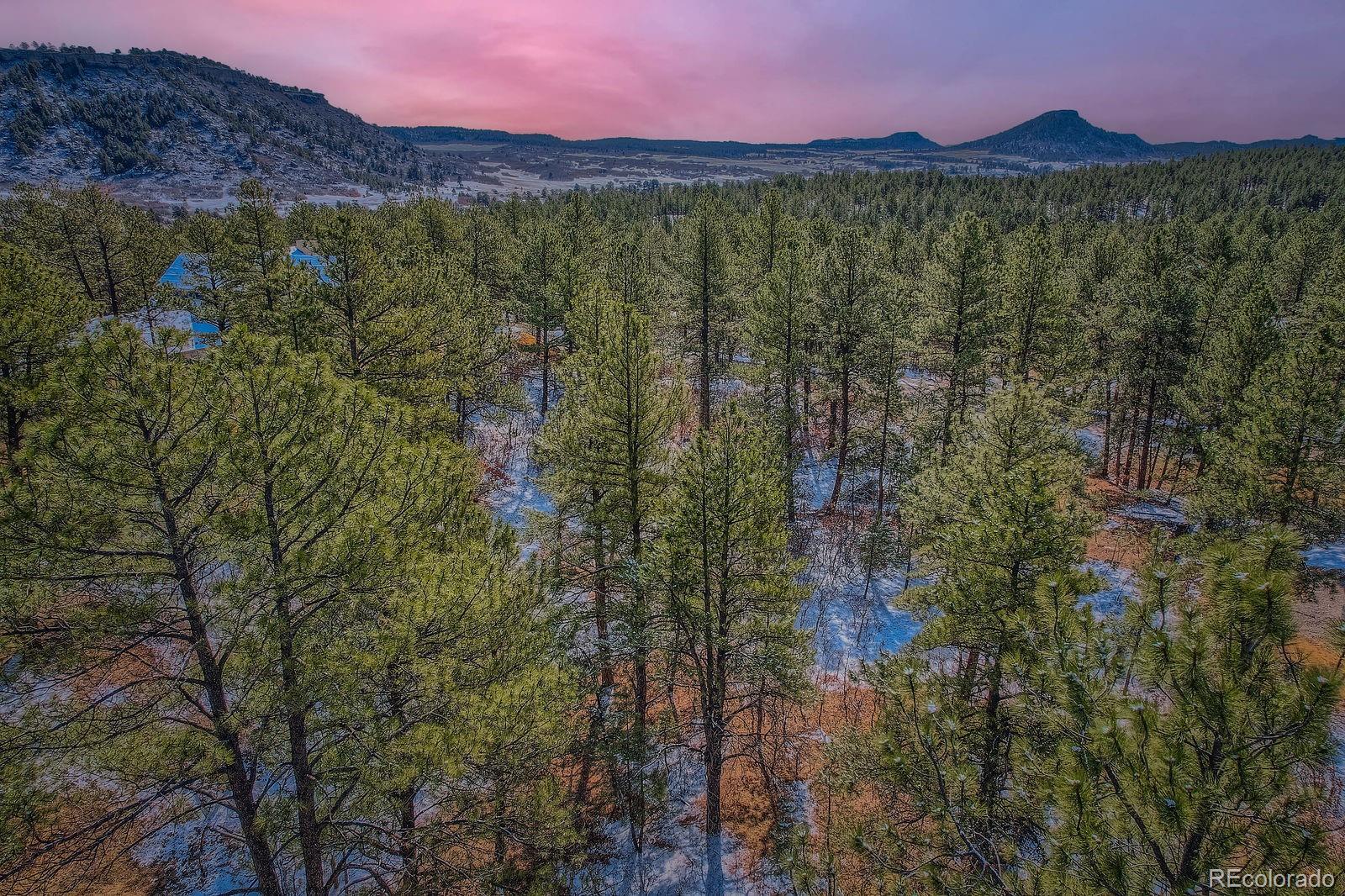 665 Copper Fox Place Larkspur CO 80118