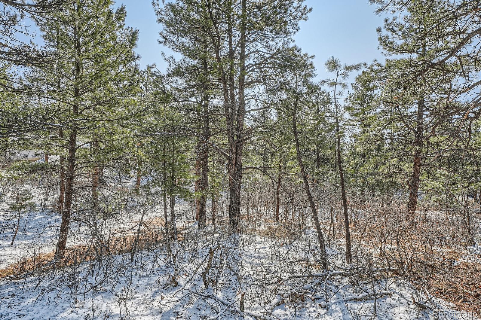 665 Copper Fox Place Larkspur CO 80118