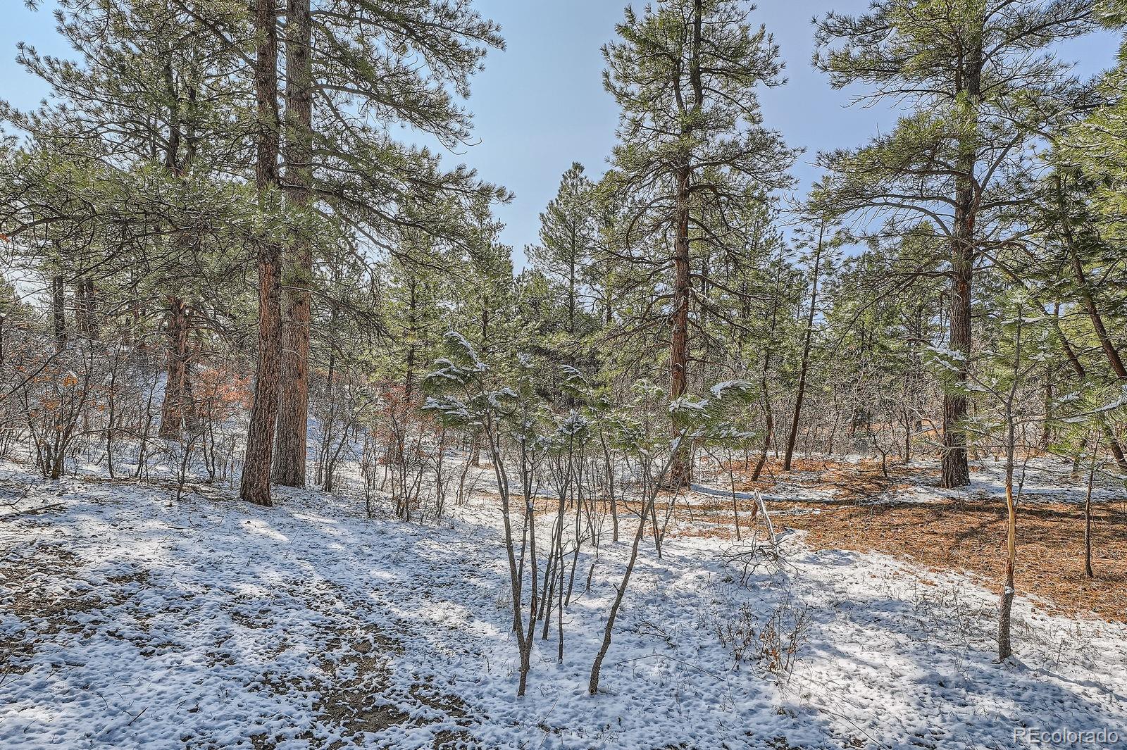 665 Copper Fox Place Larkspur CO 80118