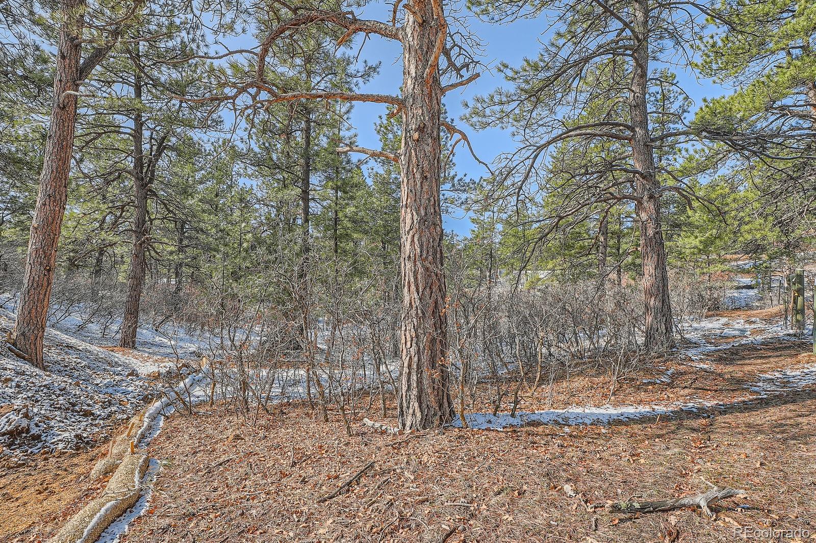 665 Copper Fox Place Larkspur CO 80118