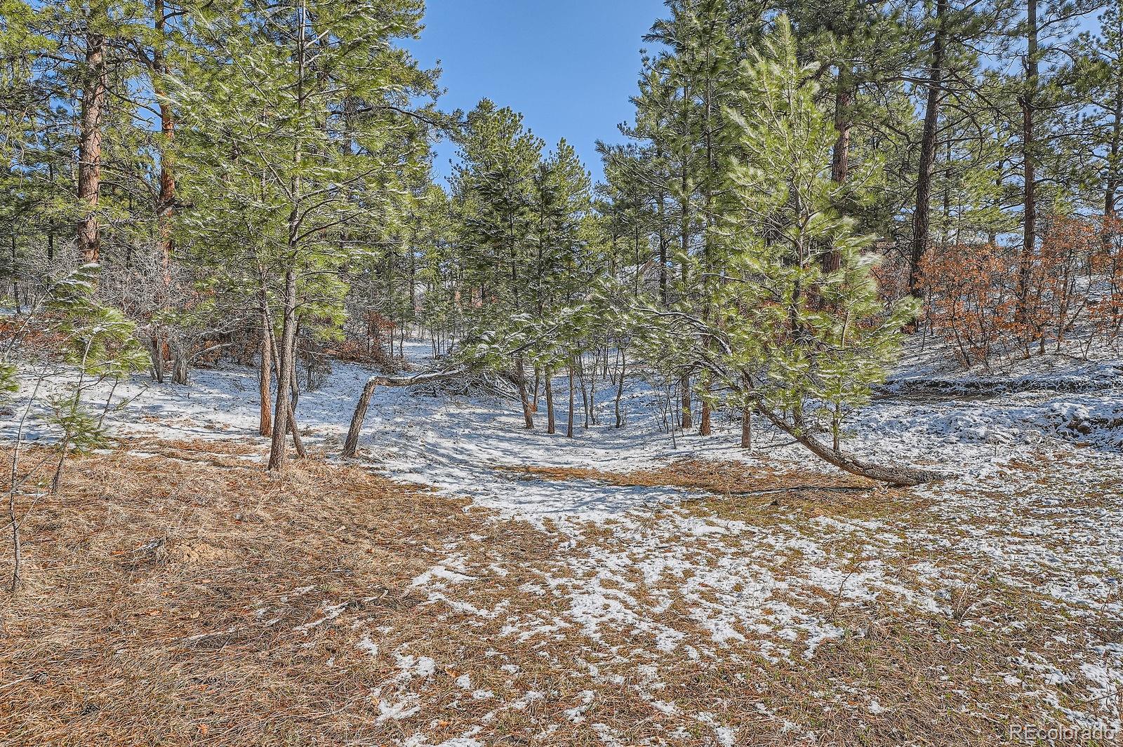665 Copper Fox Place Larkspur CO 80118