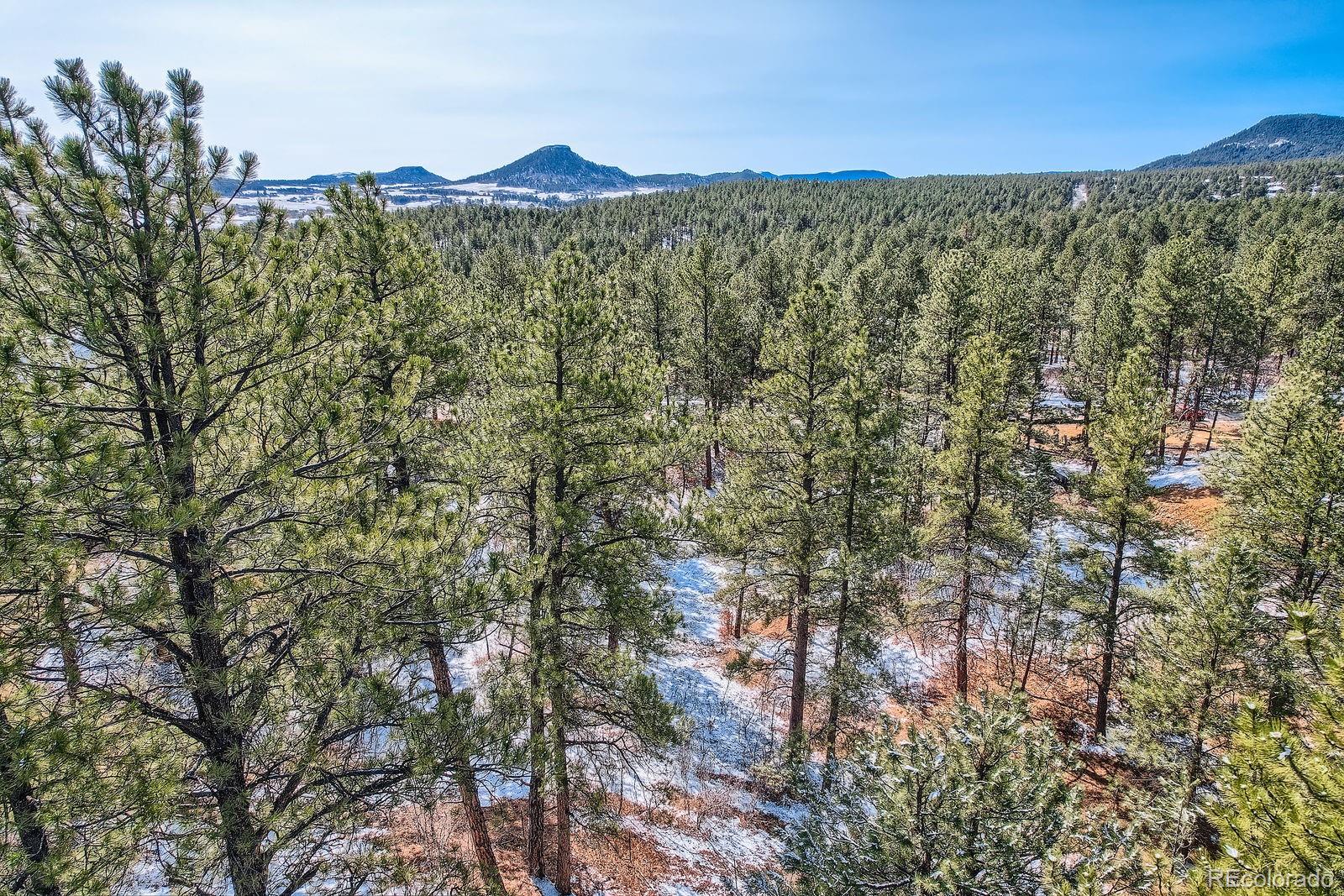 665 Copper Fox Place Larkspur CO 80118