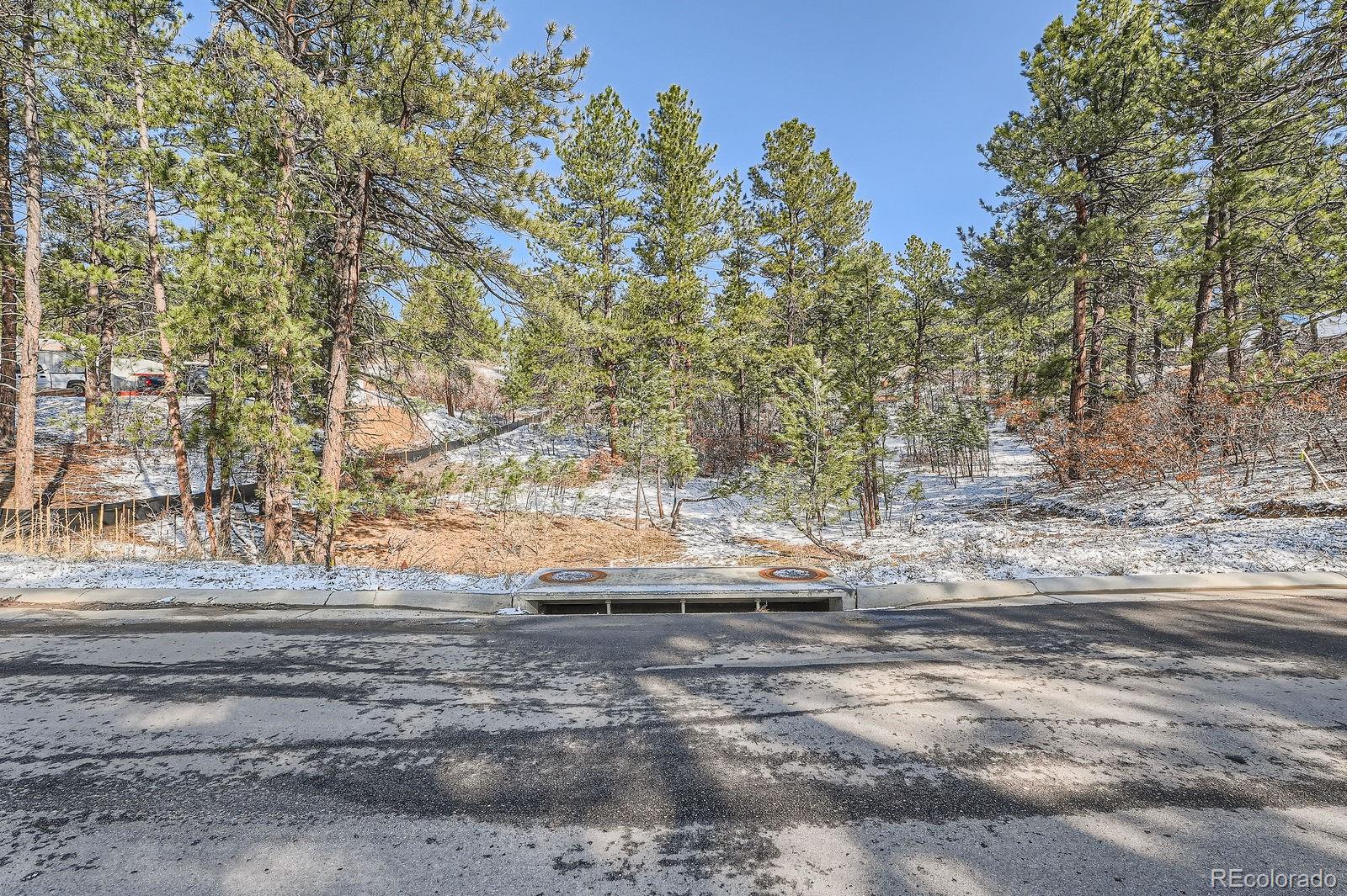 665 Copper Fox Place Larkspur CO 80118