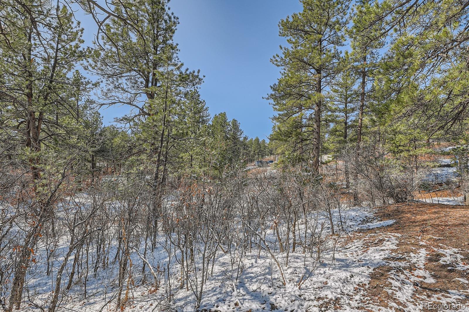665 Copper Fox Place Larkspur CO 80118