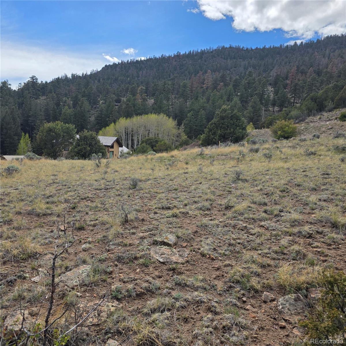 366 Timberline Trail South Fork CO 81154