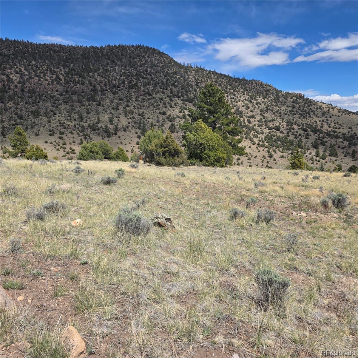 366 Timberline Trail South Fork CO 81154