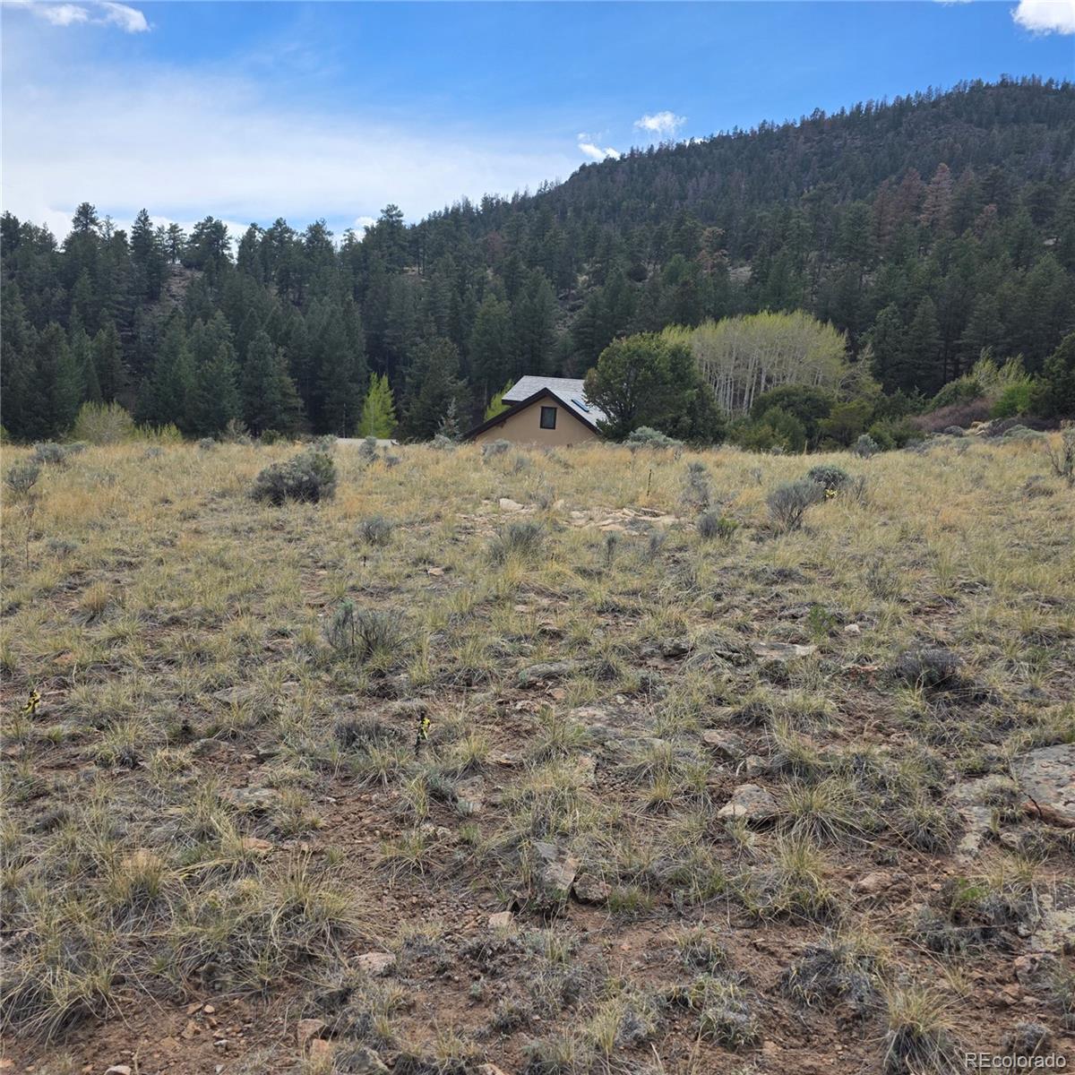 366 Timberline Trail South Fork CO 81154