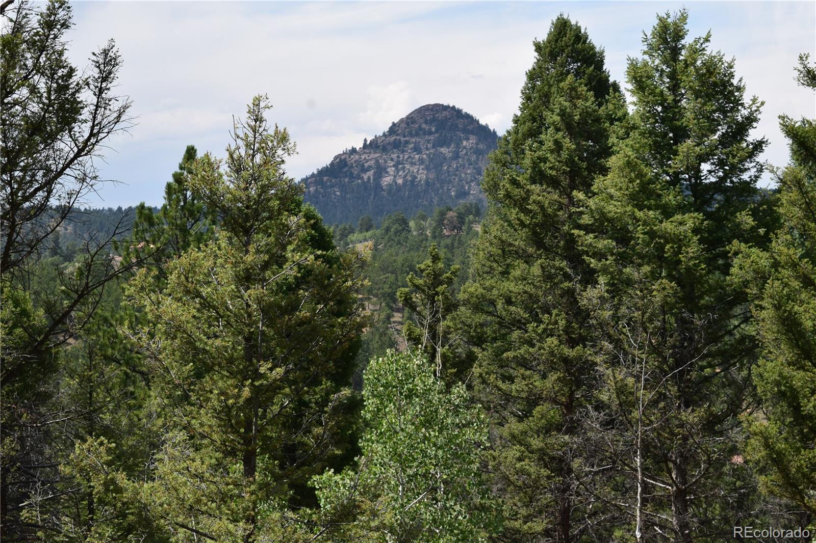 93 Kiowa Creek Trail Florissant CO 80816